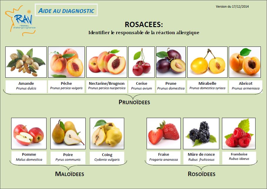 Aide au diagnostic - Rosaceae