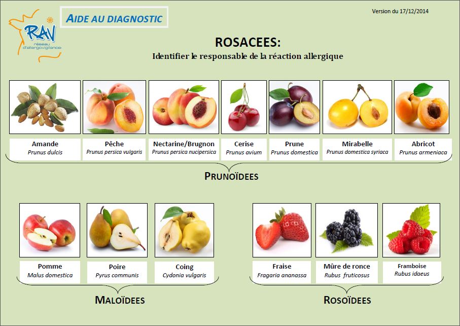 Aide au diagnostic - Rosaceae